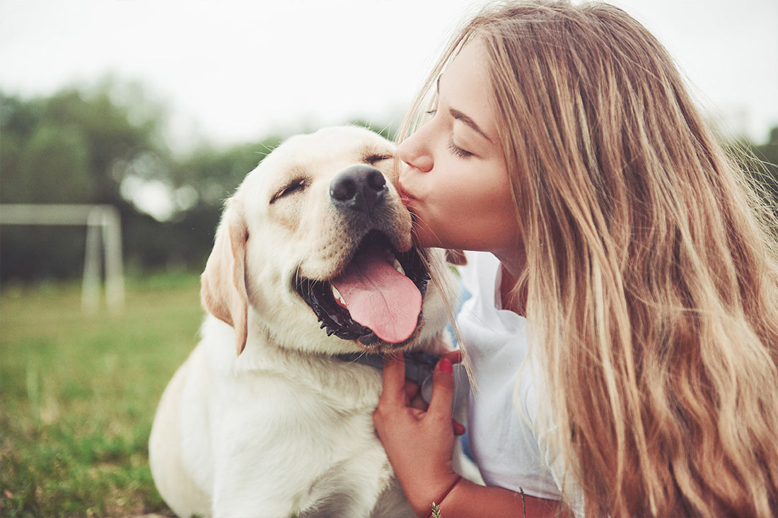 Probiotics & Turmeric for Pets